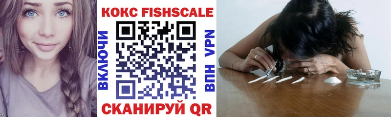 Купить закладки  Карачев  COCAIN 99% 