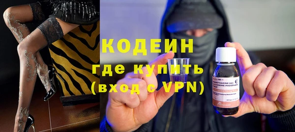 молекула духа Елизово