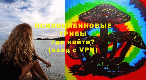 молекула духа Елизово