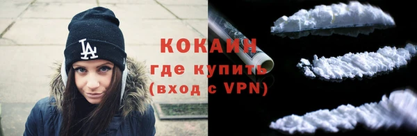 молекула духа Елизово