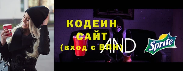 молекула духа Елизово