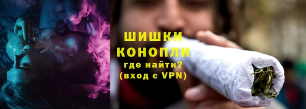 Альфа ПВП Ельня