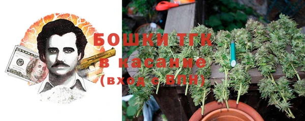 Альфа ПВП Ельня