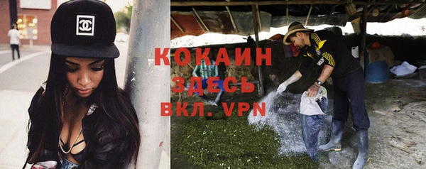 Альфа ПВП Ельня