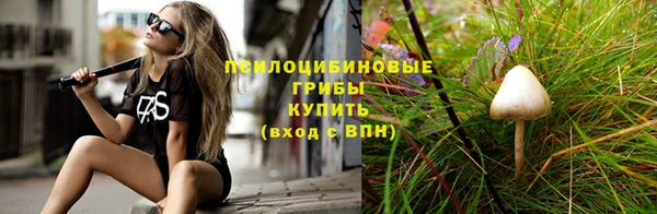 Альфа ПВП Ельня