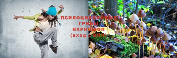 молекула духа Елизово