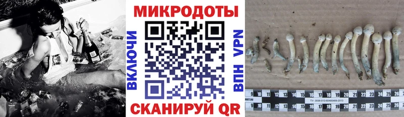 Купить закладки  Карачев  Псилоцибиновые грибы прущие грибы 